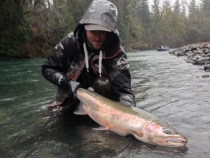 Read more about the article More Rain & Wild Steelhead