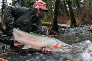 Read more about the article Olympic Peninsula Steelhead – More Steelhead after the Big Rain