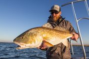 Louisiana-Redfish-Flyfishing-Guide-12