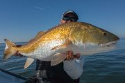 Louisiana-Redfish-Flyfishing-Guide