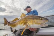 Louisiana-Redfish-Flyfishing-Guide-20