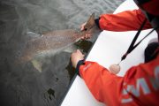 Louisiana-Redfish-Flyfishing-Guide-21