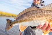 Louisiana-Redfish-Flyfishing-Guide-24